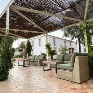 sofas-ex
